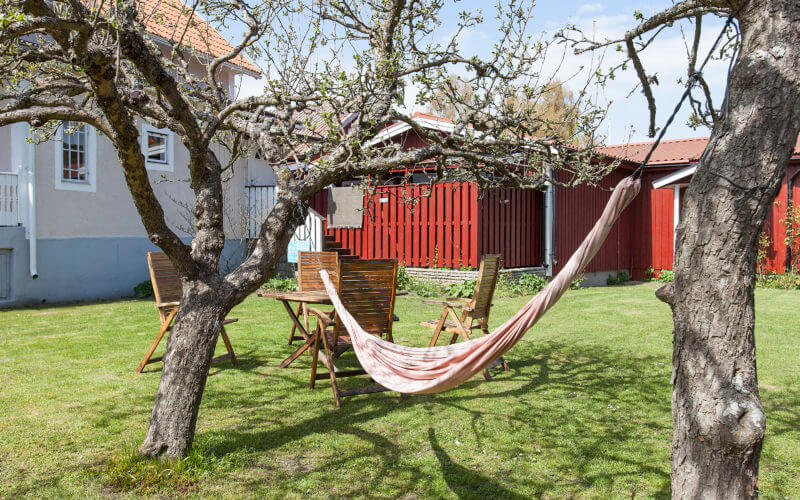 Hangmatta och utemöbler i äppelträdgården